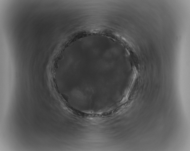 X0000116010817200911251118