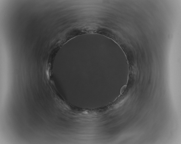 X0000116010818200911251119