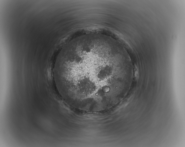 X0000116010819200911251119