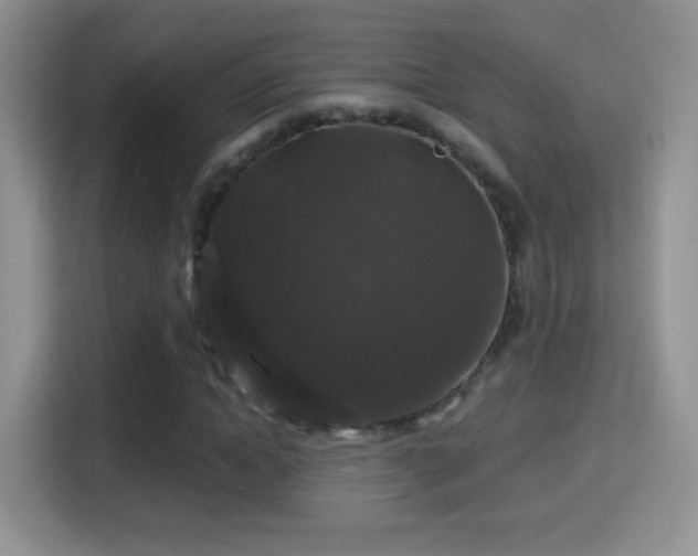 X0000116010822200911251119