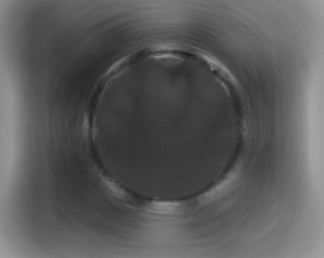 X0000116010825200911251119