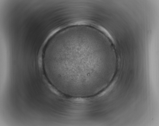 X0000116010827200911251119