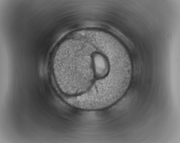 X0000116010828200911251119