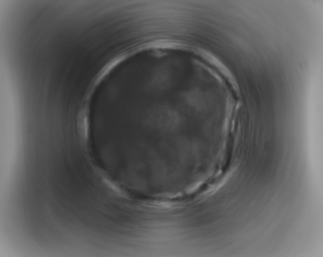 X0000116010829200911251119