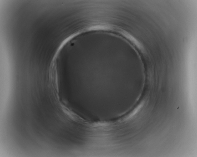 X0000116010830200911251119