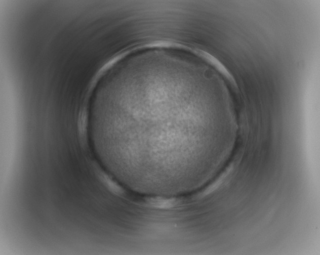 X0000116010831200911251119