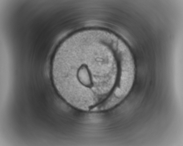 X0000116010832200911251119