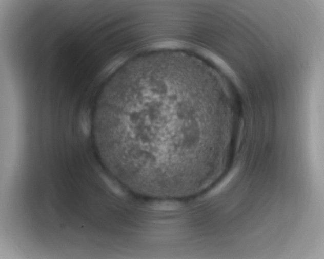 X0000116010833200911251119