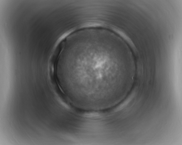X0000116010834200911251119