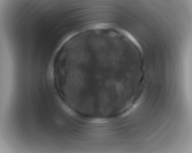 X0000116010835200911251119