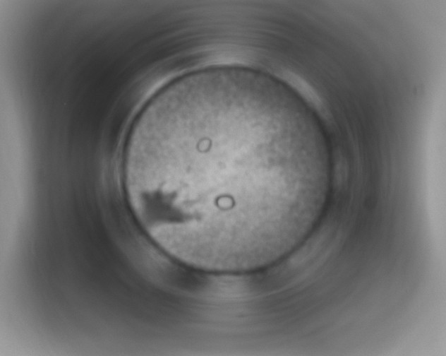 X0000116010836200911251119