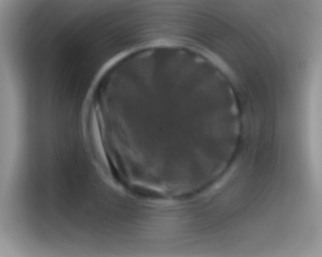 X0000116010838200911251119