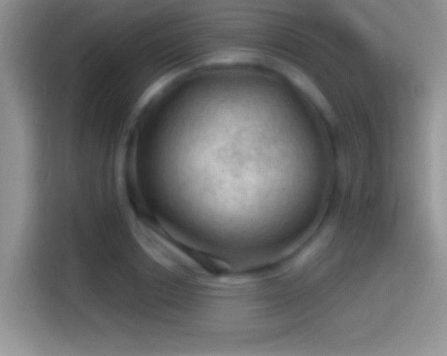 X0000116010842200911251119