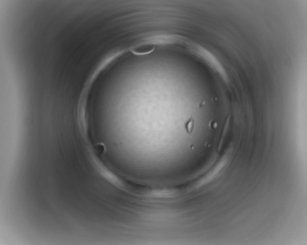 X0000116010843200911251119