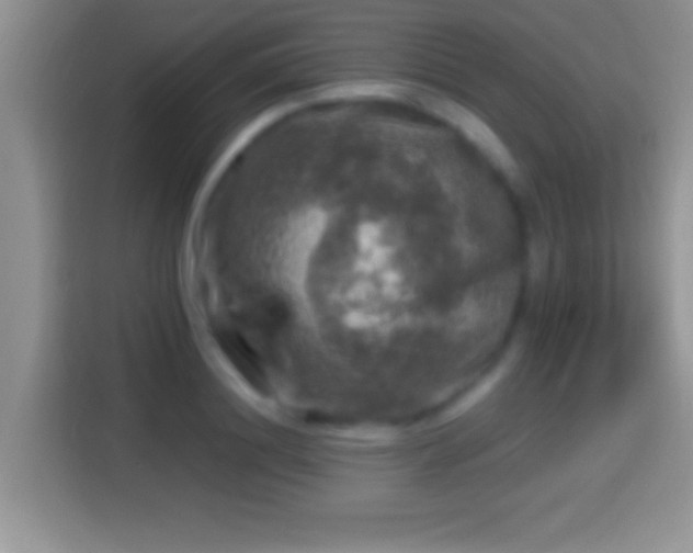 X0000116010844200911251119