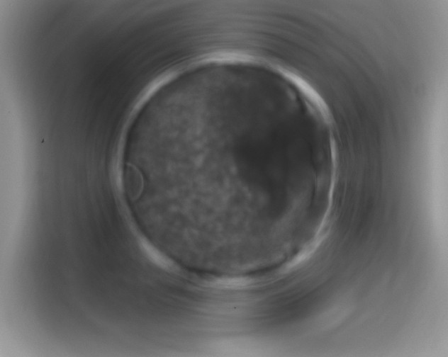 X0000116010845200911251119