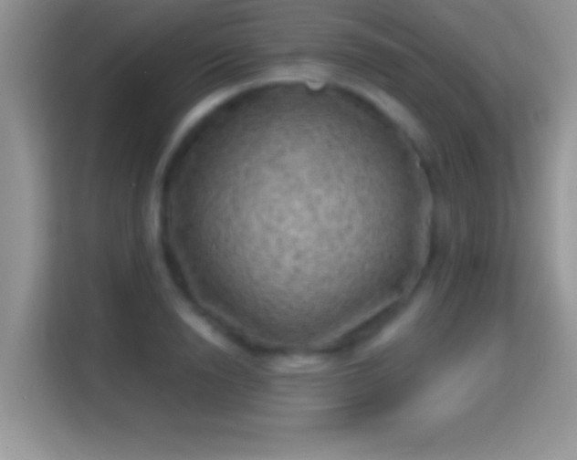 X0000116010846200911251119