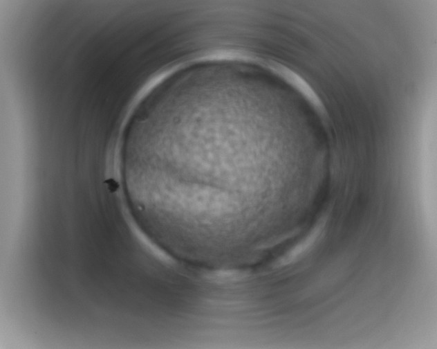 X0000116010847200911251119
