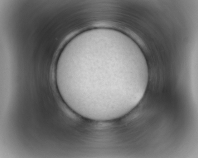 X0000116010848200911251119