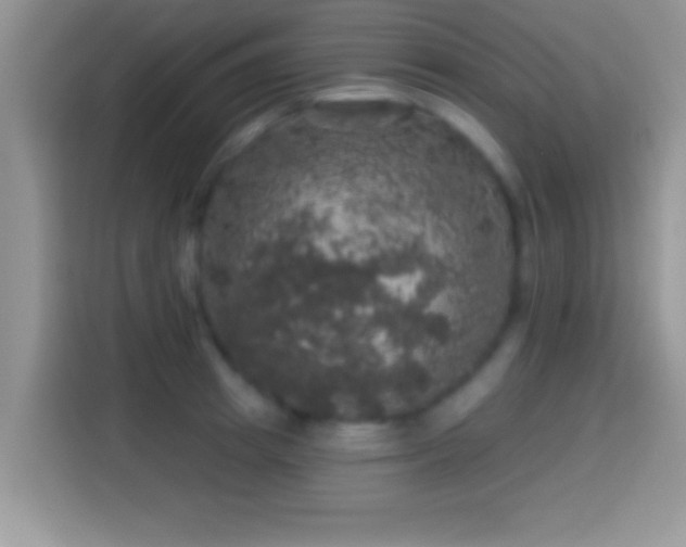 X0000116010849200911251119