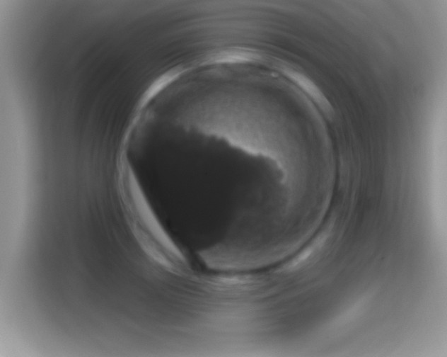 X0000116010850200911251119