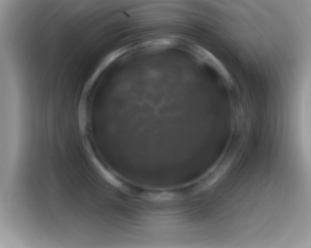 X0000116010851200911251119