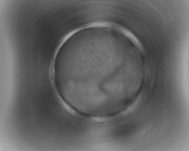 X0000116010852200911251119