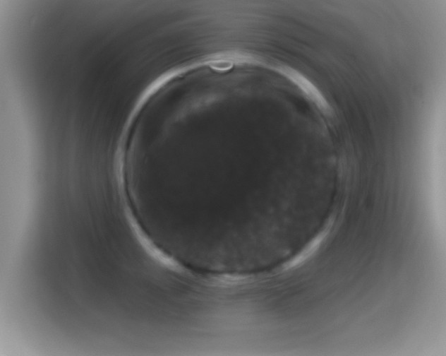 X0000116010854200911251119