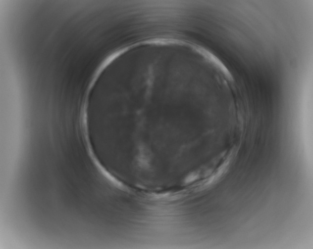X0000116010855200911251119