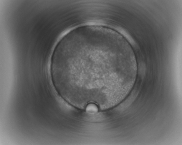 X0000116010856200911251119