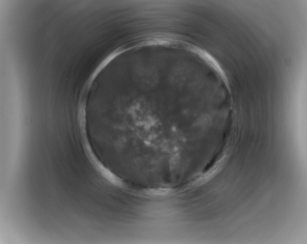 X0000116010859200911251119