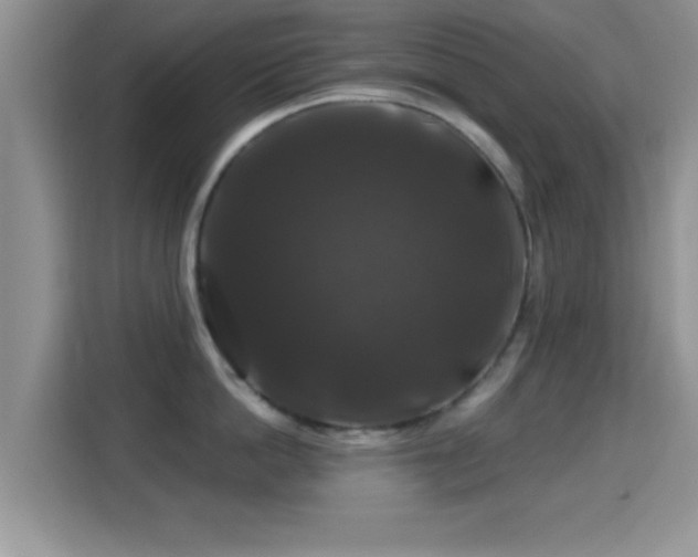 X0000116010862200911251119