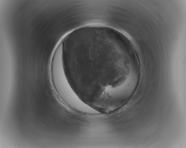 X0000116010864200911251119