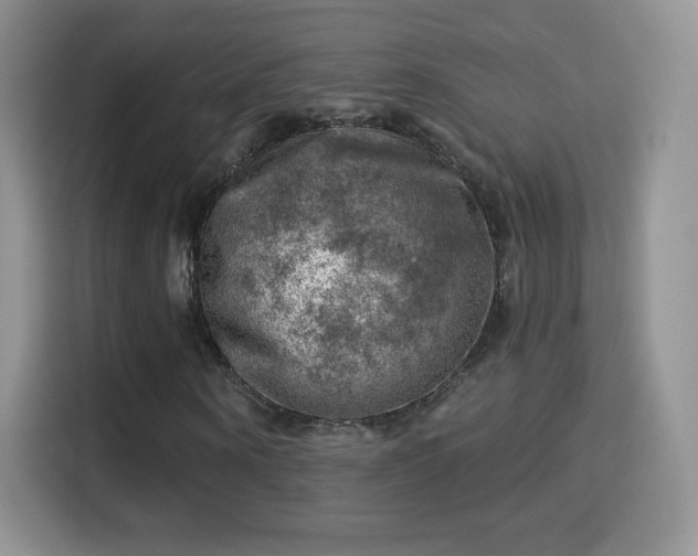 X0000116010866200911251118