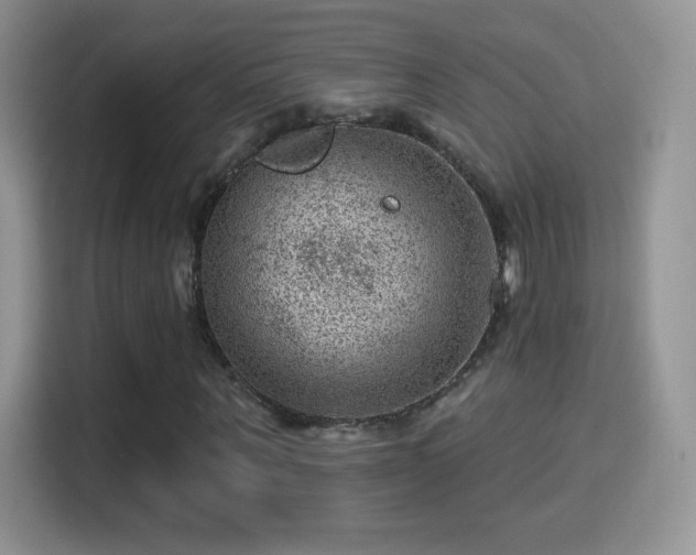 X0000116010867200911251118