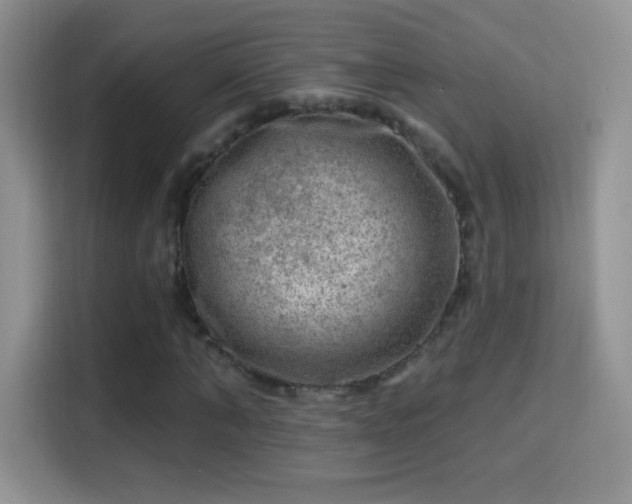 X0000116010870200911251118