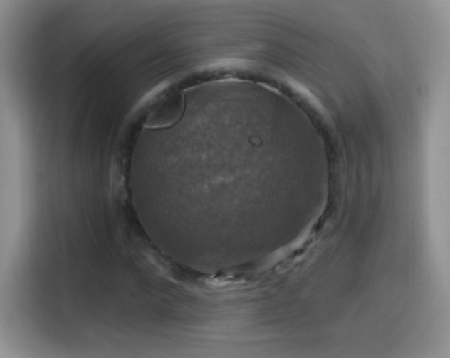 X0000116010872200911251118