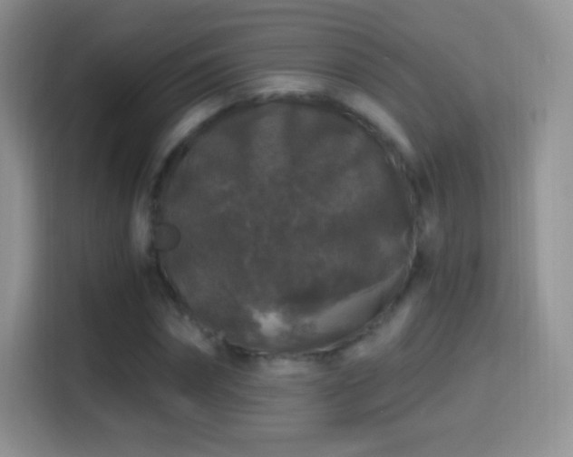 X0000116010874200911251118