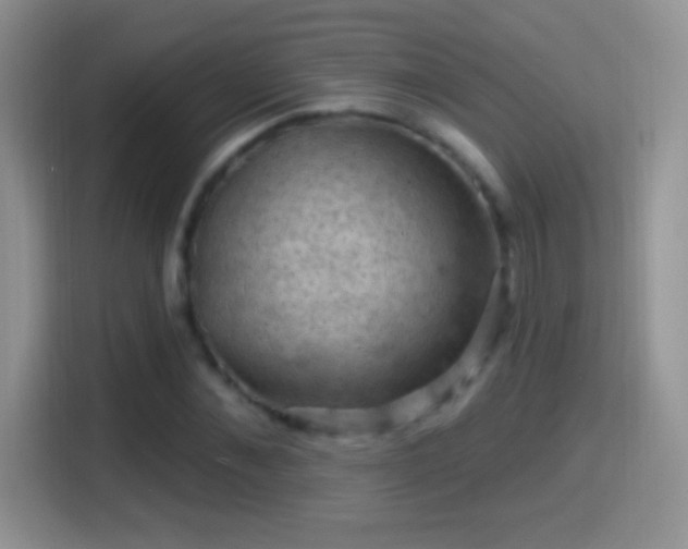 X0000116010876200911251118