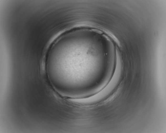 X0000116010877200911251118