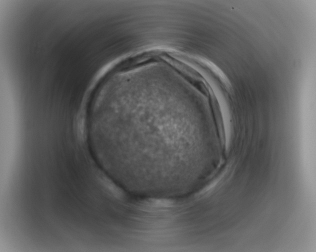 X0000116010878200911251118