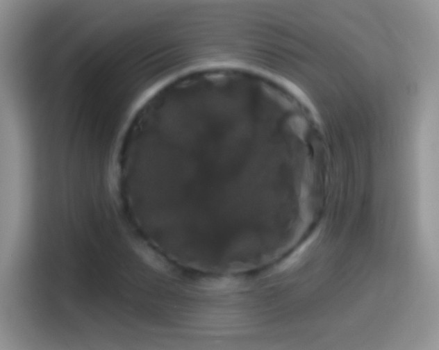 X0000116010879200911251118