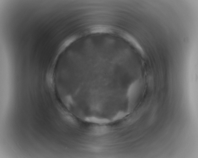 X0000116010882200911251118