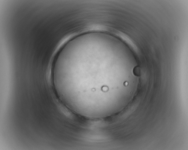 X0000116010886200911251118