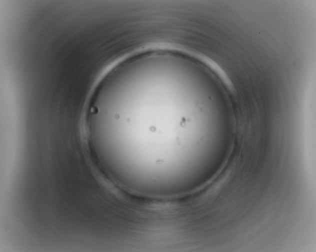 X0000116010887200911251118