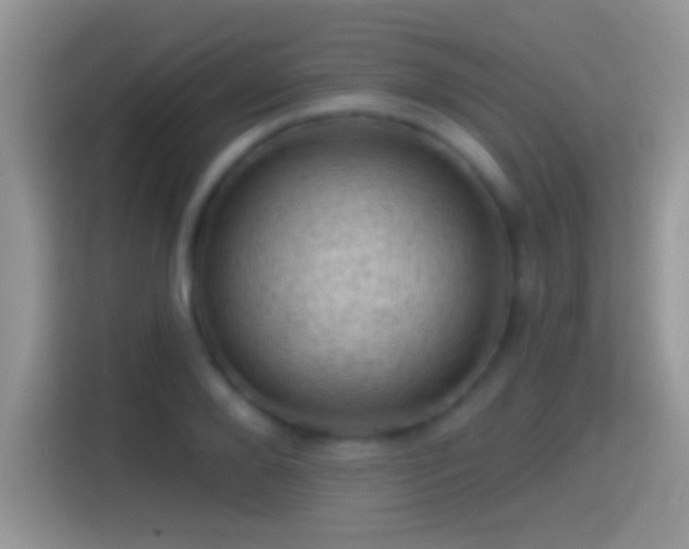 X0000116010888200911251118