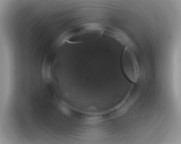 X0000116010889200911251118