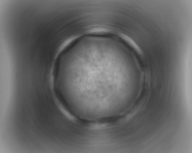 X0000116010890200911251118