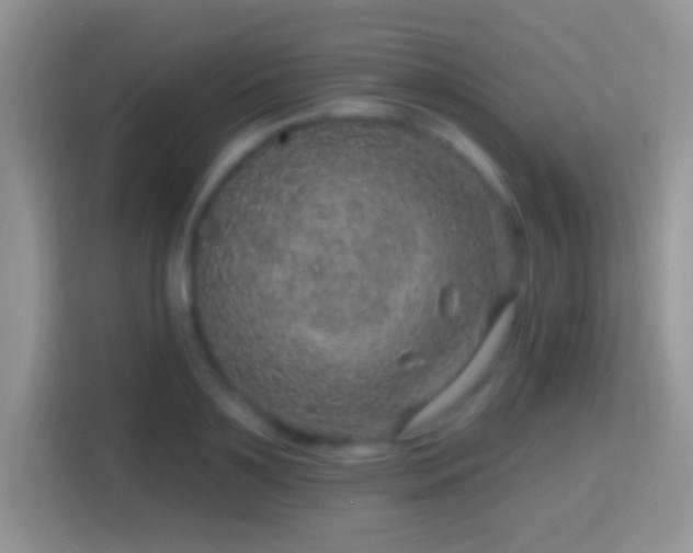 X0000116010891200911251118