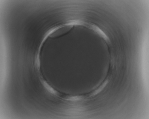 X0000116010892200911251118